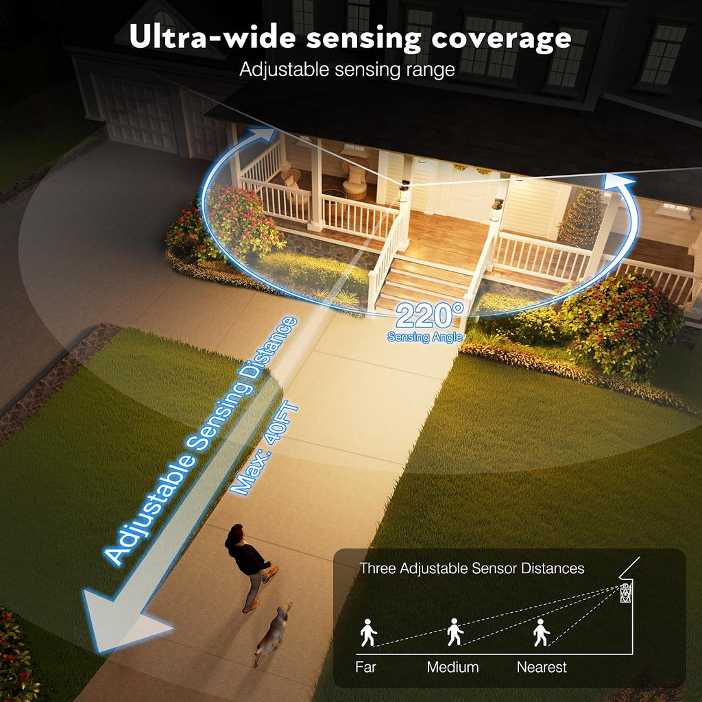 2 Pack Black Motion Sensor Dusk to Dawn Outdoor Wall Lantern